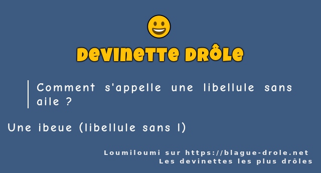 Comment s'appelle une libellule sans aile ?