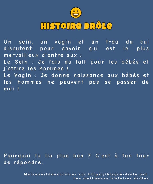Un sein, un vagin et un trou du cul...