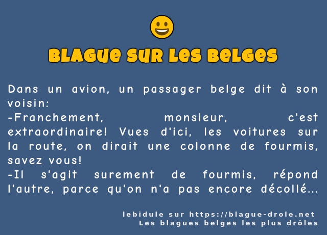Dans un avion, un passager belge dit à...
