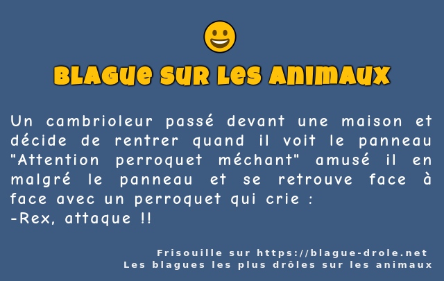 Un cambrioleur passé devant une maison et...