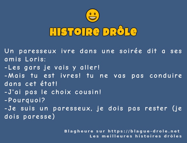 Un paresseux ivre dans une soirée dit a ses...