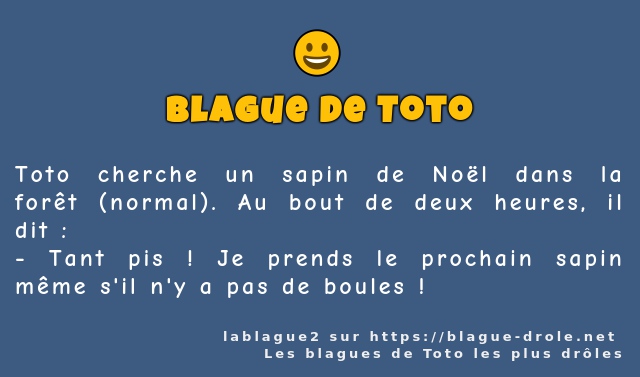 Toto cherche un sapin de Noël dans la forêt...