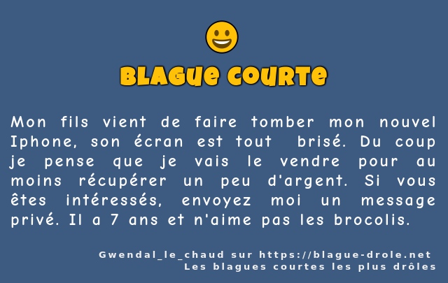 Mon fils vient de faire tomber mon nouvel...