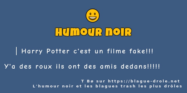 Harry Potter c'est un filme fake!!!
