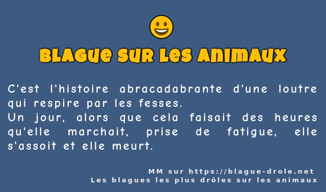 C'est l'histoire abracadabrante d'une loutre...