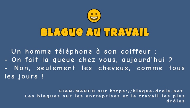   Un homme téléphone à son coiffeur :