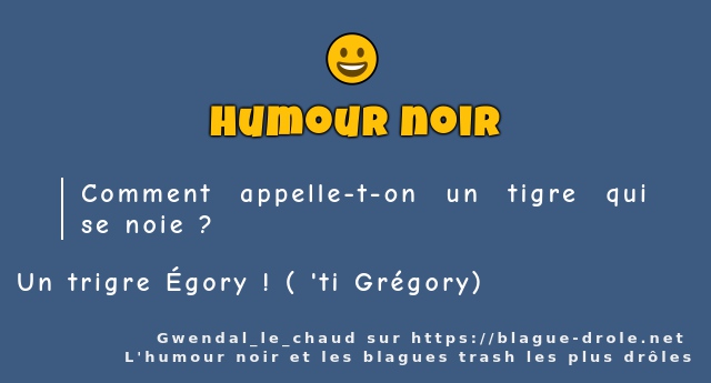 Comment appelle-t-on un tigre qui se noie ?