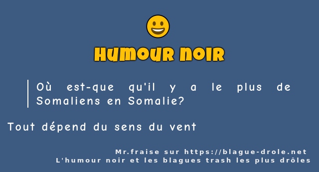 Où est-que qu'il y a le plus de Somaliens en...