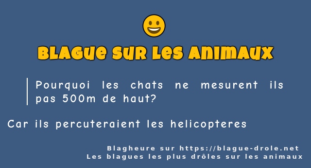 Pourquoi les chats ne mesurent ils pas 500m...