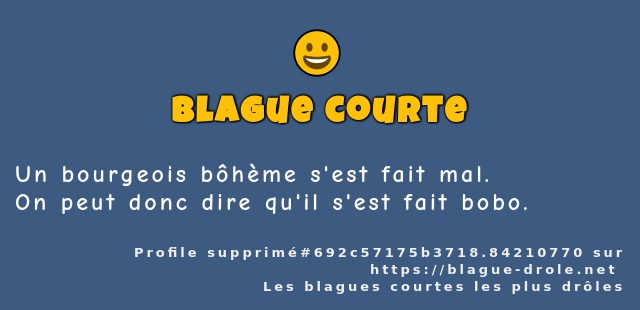 Un bourgeois bôhème s'est fait mal.