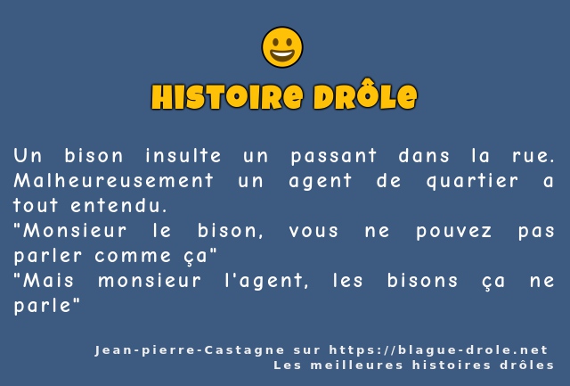 Un bison insulte un passant dans la rue....
