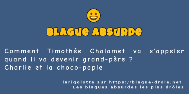 Comment Timothée Chalamet va s'appeler quand...