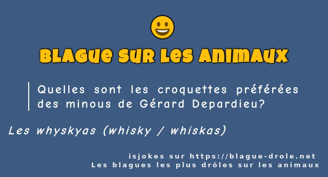 Quelles sont les croquettes préférées des...