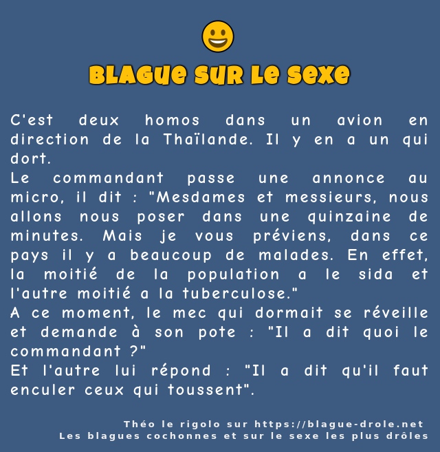 C'est deux homos dans un avion en direction...