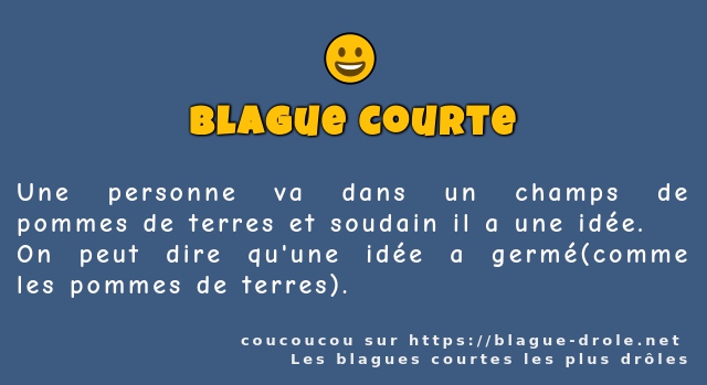 Une personne va dans un champs de pommes de...
