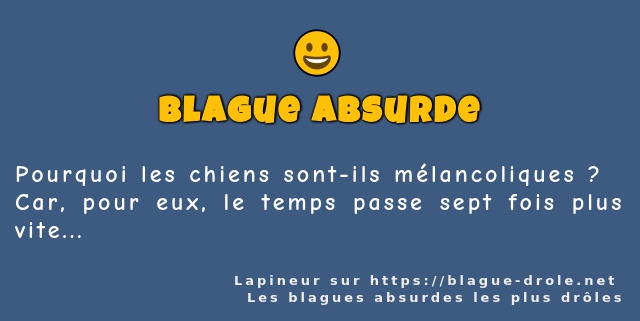 Pourquoi les chiens sont-ils mélancoliques ?