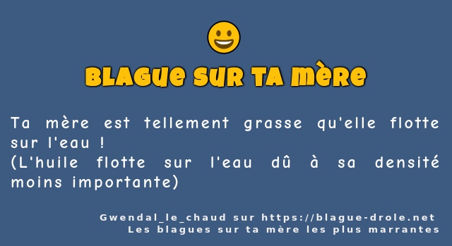 Ta mère est tellement grasse qu'elle flotte...