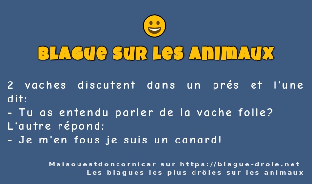 2 vaches discutent dans un prés et l'une...