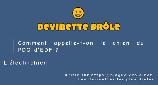 Comment appelle-t-on le chien du PDG d’EDF ?