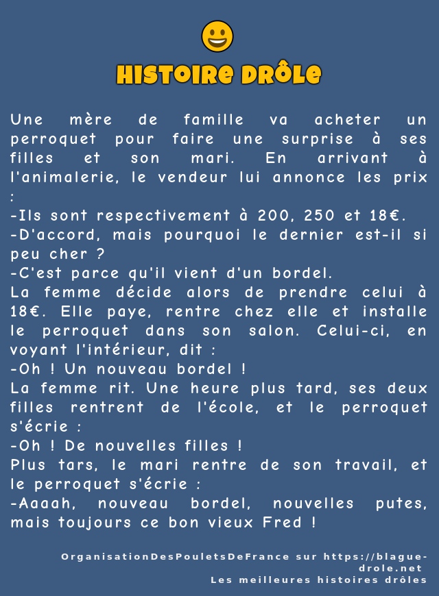 Une mère de famille va acheter un perroquet...